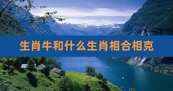 生肖牛和什么生肖相合相克,属牛人与什么属相相克