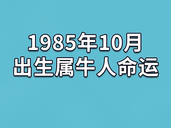 1985年10月出生属牛人命运(农历,爱情,事业运势解析)_吉星堂