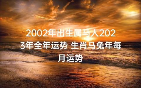 好机遇出现生肖马的2023年7月事业运如何属马人在7月份的工作运势很好