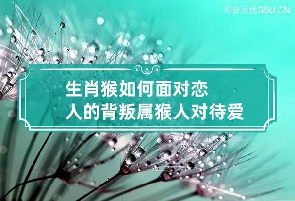 生肖猴如何面对恋人的背叛 属猴人对待爱情观