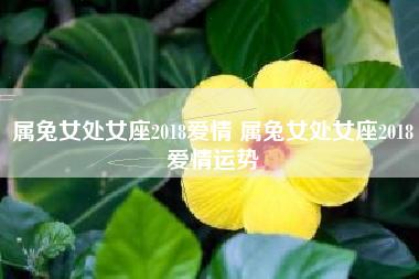 属兔女处女座2023爱情 属兔女处女座2023爱情运势