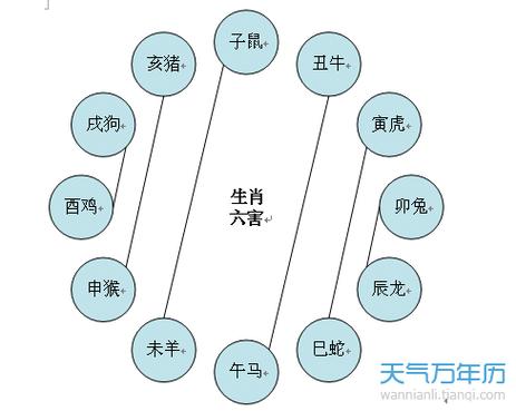 属马的和属牛的 十二生肖相冲相克表