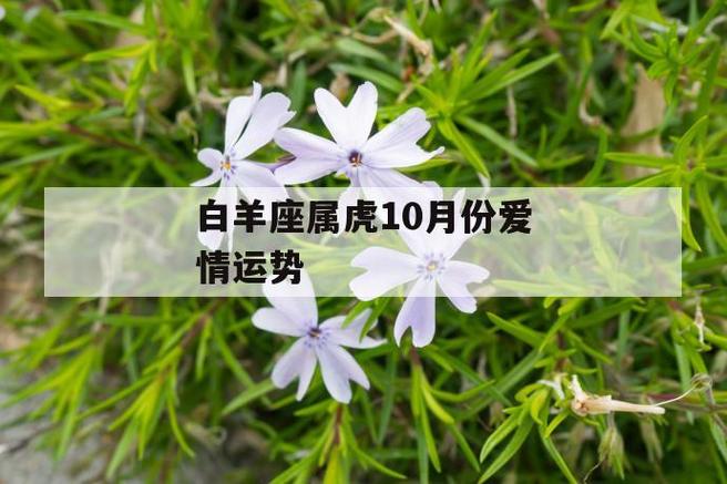 白羊座属虎10月份爱情运势