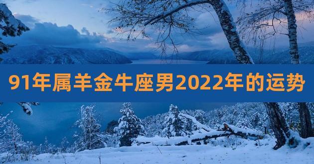 91年属羊金牛座男2023年的运势,属猴金牛座男