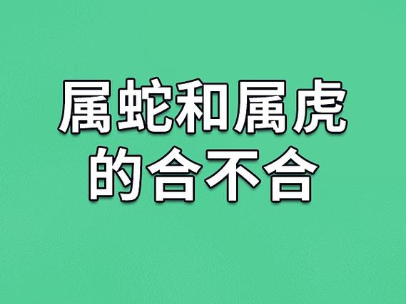 不管是孩子还是母亲我属蛇儿子属虎相克吗,都要充分利用风水物品的