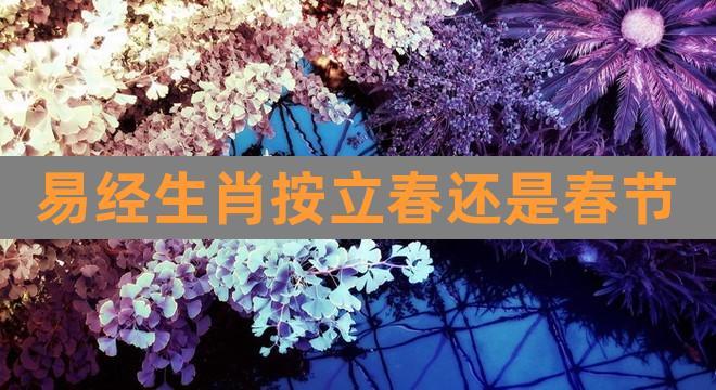 易经生肖按立春还是春节(生辰八字是按立春算的么)