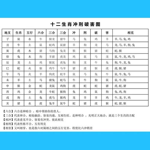 十二生肖相合相克三会六冲相刑相害图易学基础知识图详解对照表