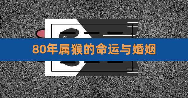 80年属猴的命运与婚姻,80年猴男一生的运程