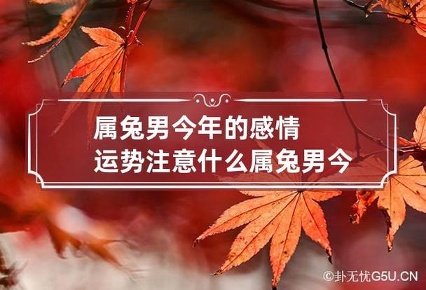 属兔男今年的感情运势注意什么 属兔男今年的婚姻状况