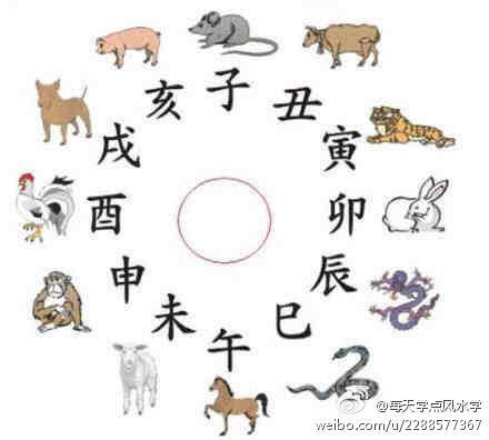 【四象与生肖】易经说的「四象」,对应的生肖分别是:鼠,猪,兔,属大柔