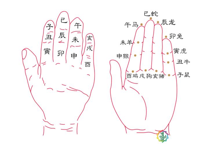 属相知识 | 你的本命年顺利吗?