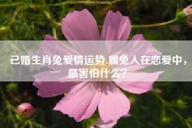 已婚生肖兔爱情运势 属兔人在恋爱中,最害怕什么?