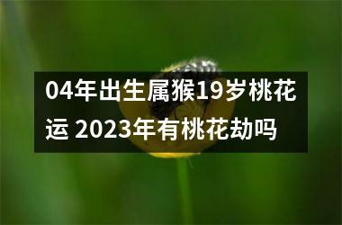 04年出生属猴19岁桃花运 2023年有桃花劫吗