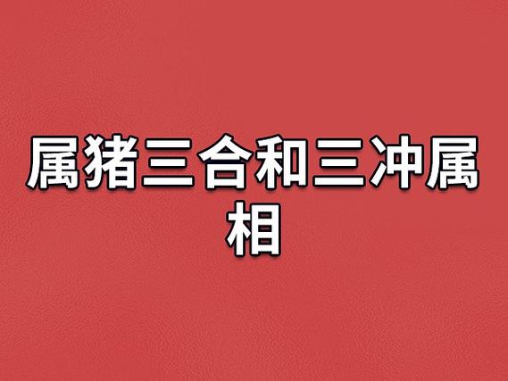 属猪三合和三冲属相