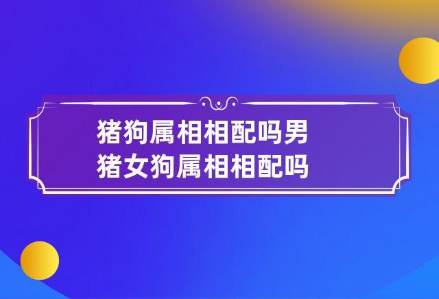 猪狗属相相配吗 男猪女狗属相相配吗