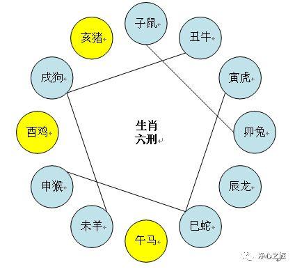 十二生肖相生相克图表