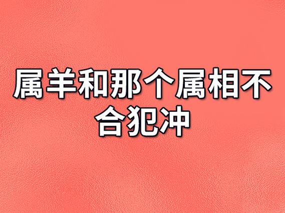 属羊和那个属相不合犯冲