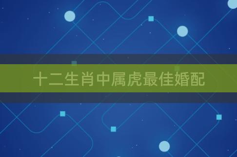 狗的忠诚和耐心能够给虎带来安全感,而虎的勇猛和果断也能够赢得狗的