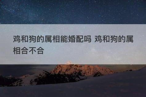 鸡和狗的属相能婚配吗 鸡和狗的属相合不合