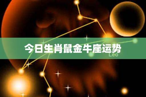 今日生肖鼠金牛座运势「属鼠的金牛座今年运势如何?