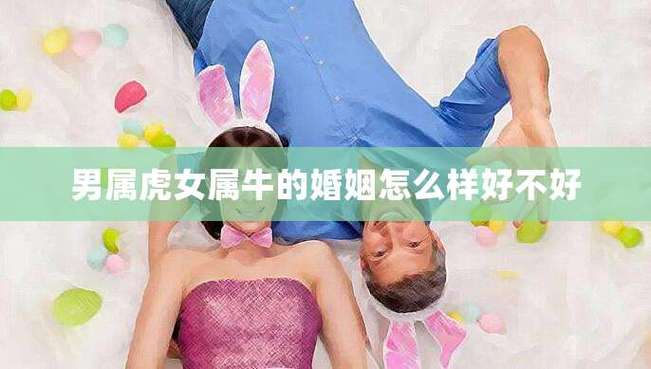 男属虎女属牛的婚姻怎么样好不好