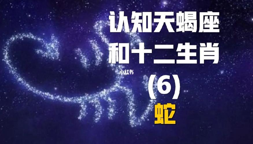 7115天蝎座属蛇-缺乏安全感的占有派