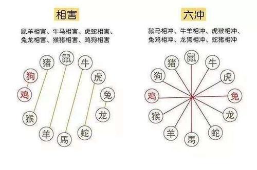 相刑生肖能结婚吗 自刑生肖如何化解_婚庆知识_婚庆百科_齐家网