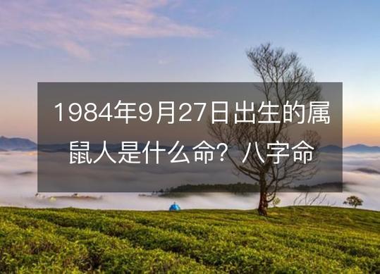 1984年9月27日出生的属鼠人是什么命?八字命运五行缺吗