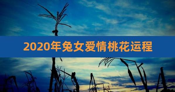 2023年兔女爱情桃花运程,63年属兔的今年桃花运怎么样