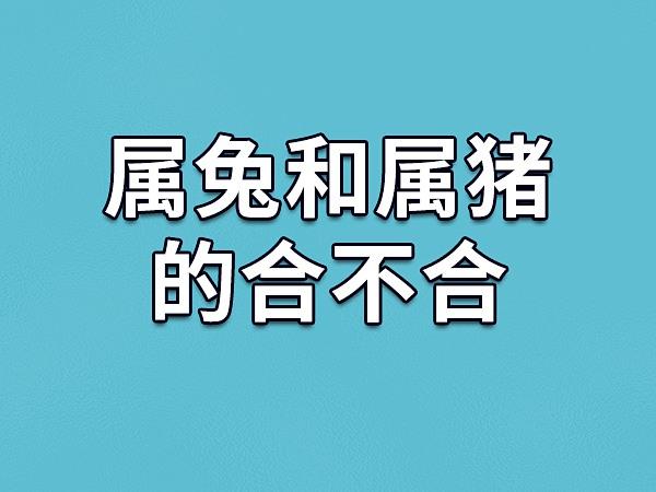 可以通过很多方法,比如两个人的属相之间是否存在相克之类的关系