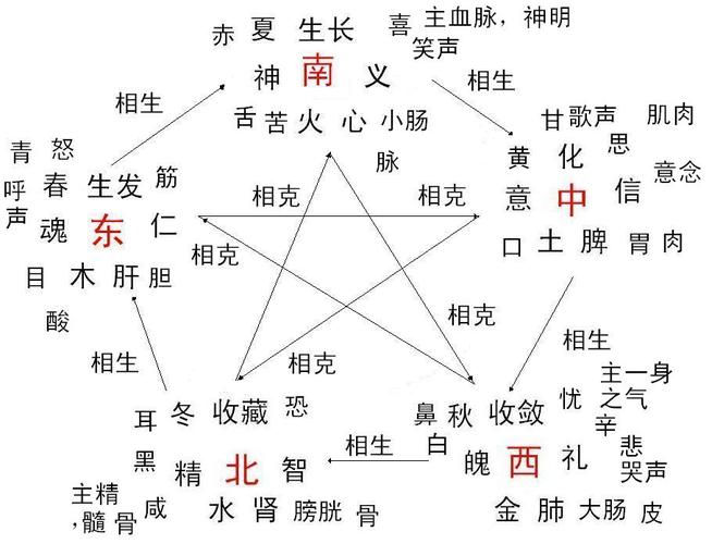 78五行属什么,78年属马的男生在金木水火土里边