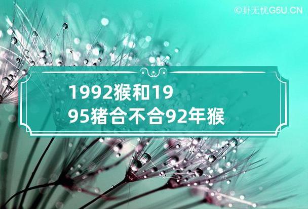 1992猴和1995猪合不合 92年猴和95猪